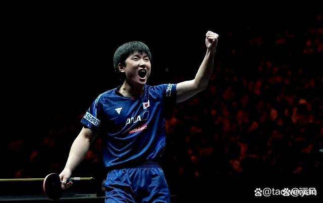 关于波兰乒乓球队险胜德国乒乓球队,张本智和统治全场的信息 关于波兰乒乓球队险胜德国乒乓球队,张本智和统治全场的信息