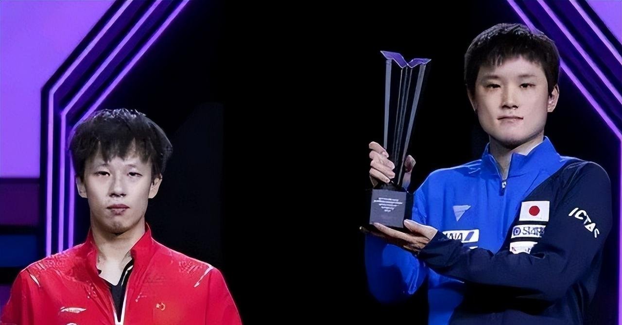 波兰队完胜法国队，张本智和状态火热