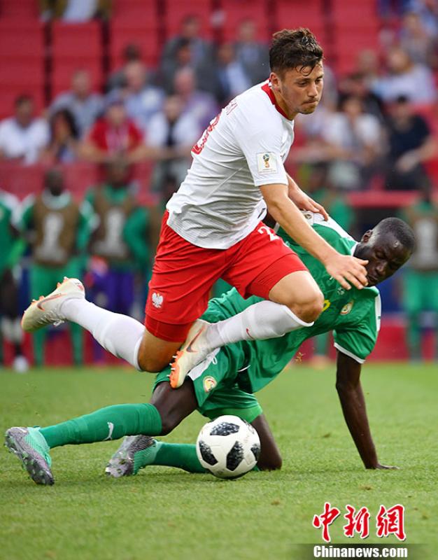 波兰队力克日本队,王皓关键制胜 波兰队力克日本队,王皓关键制胜