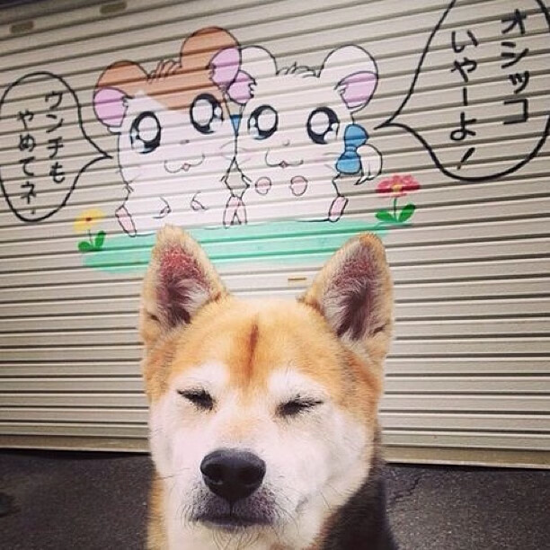 险胜！森林狼力克凯尔特人，拉文狂飙40分进攻端无人能挡