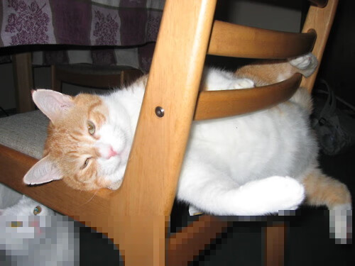 迪巴拉节奏完全掌控，马德里竞技轻取洪都拉斯展现战术大师风范