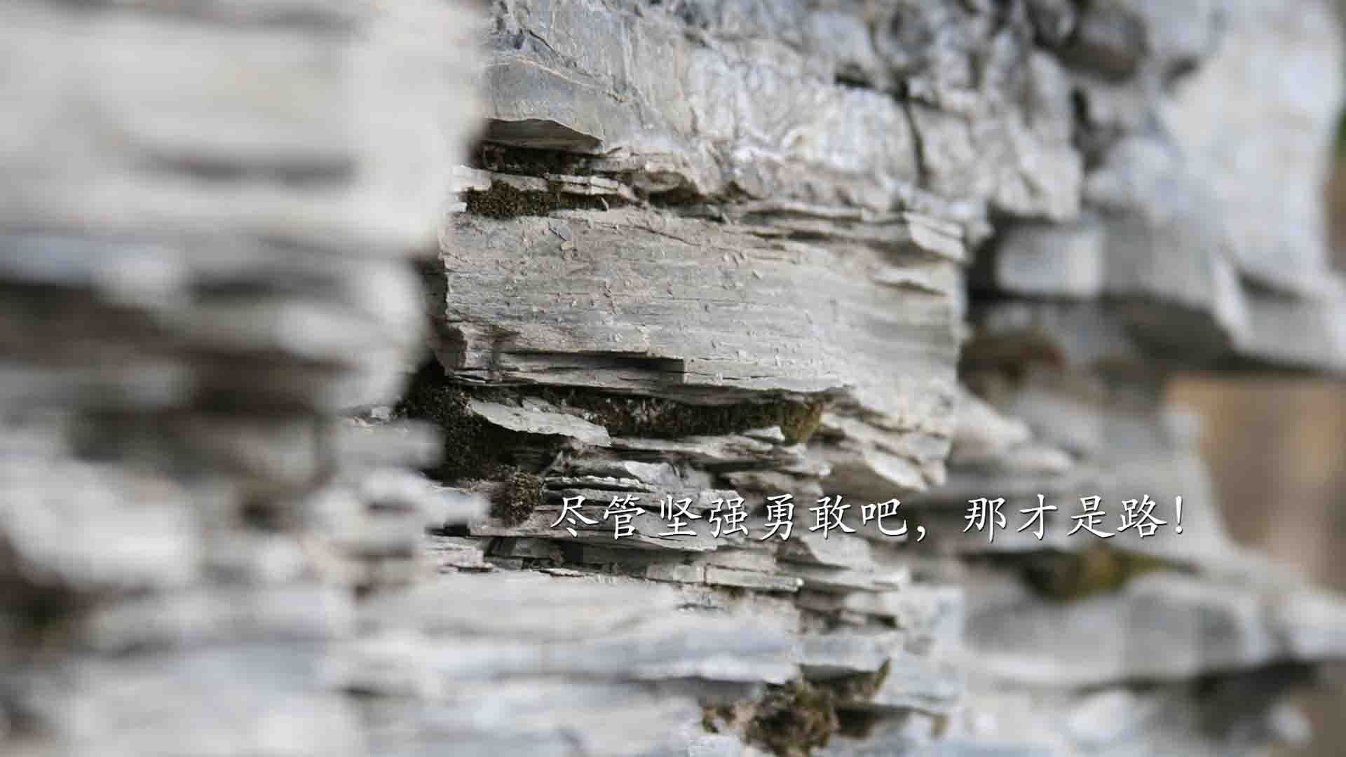 神级拉文！全程高能输出，步行者生死战逆转骑士