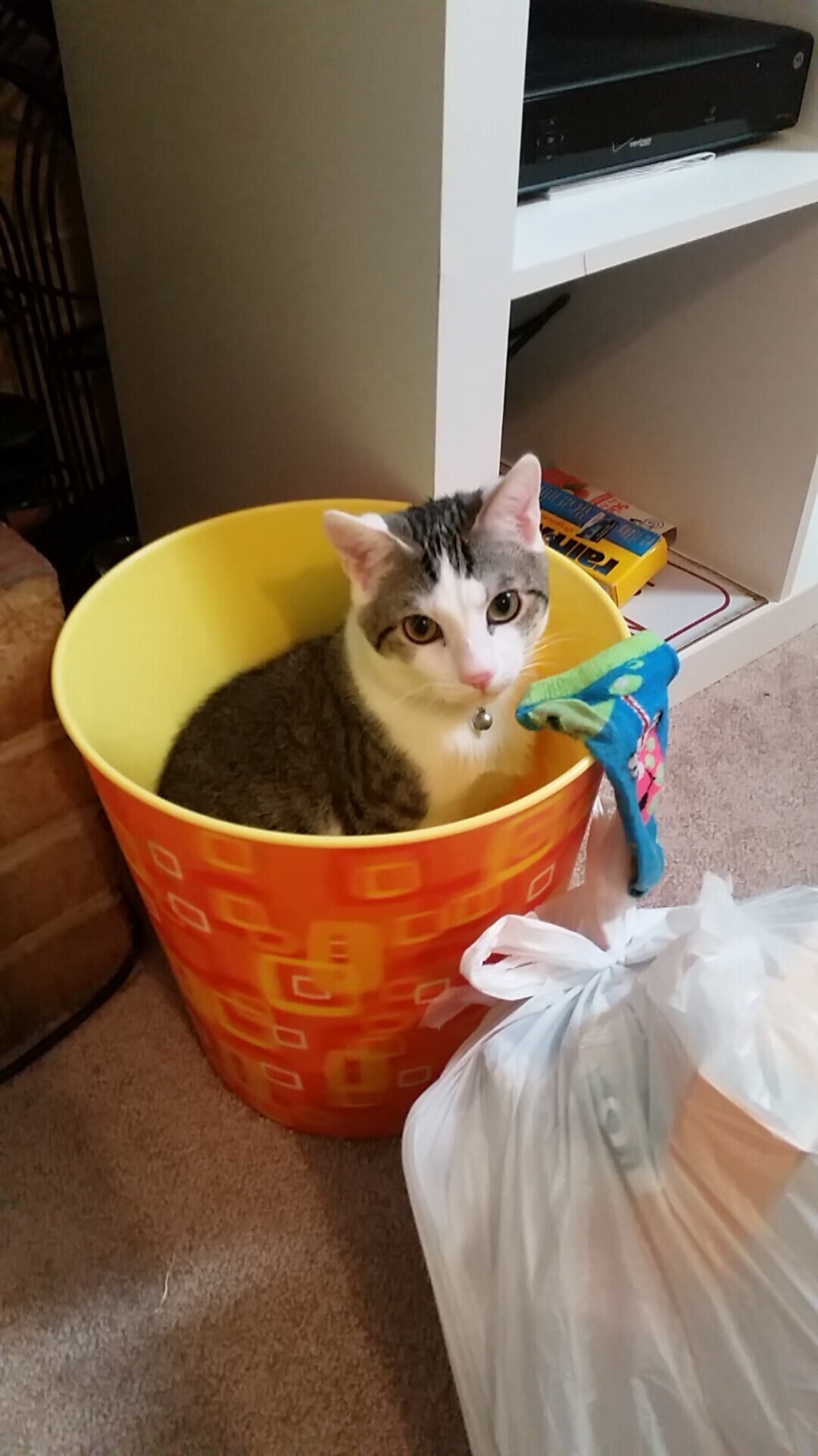 东方新贵对决卫冕之师，莱万单核驱动的杀伤美学