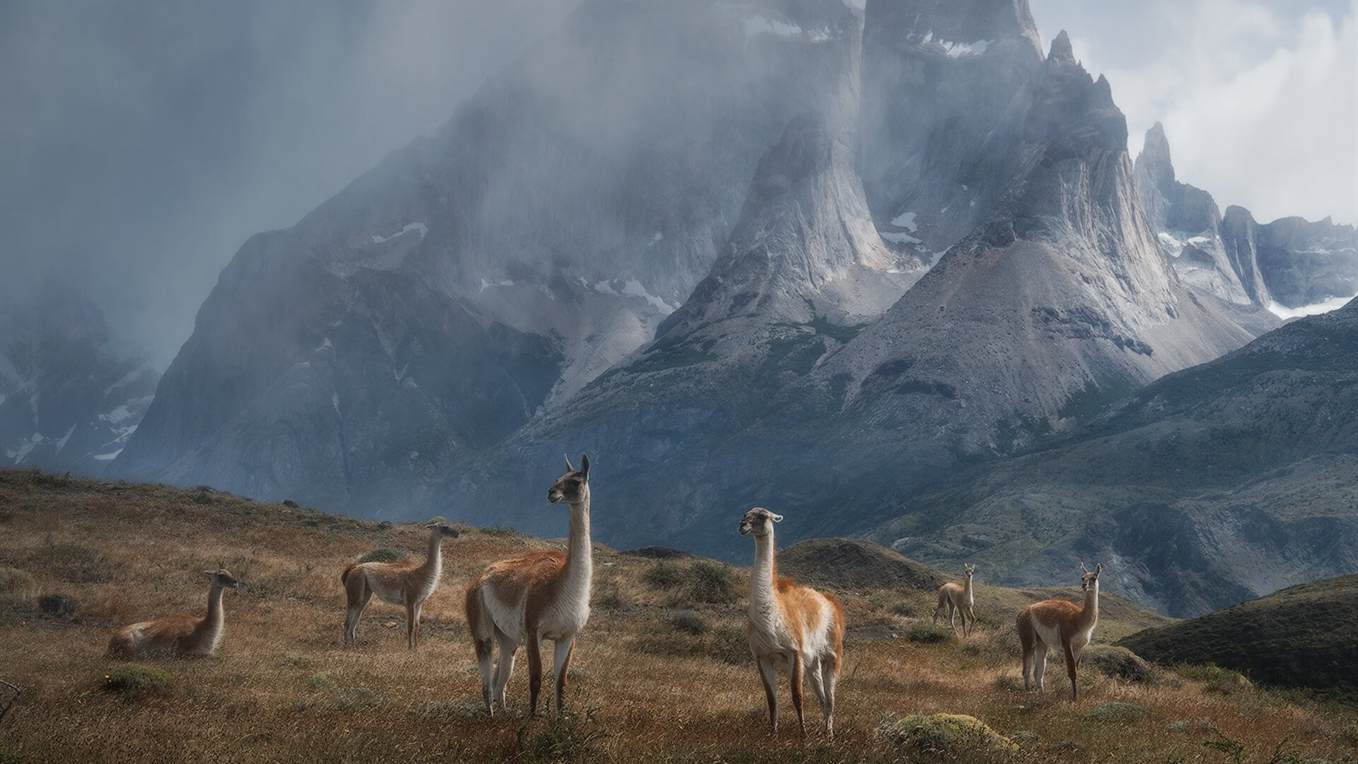 绝地风暴！上海队末节一波流带走骑士，锡安31+12主宰比赛走向