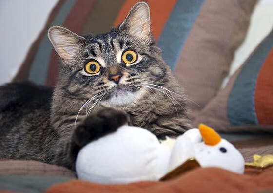 创纪录防守封死活塞!热火西决生死战轻取对手晋级在望