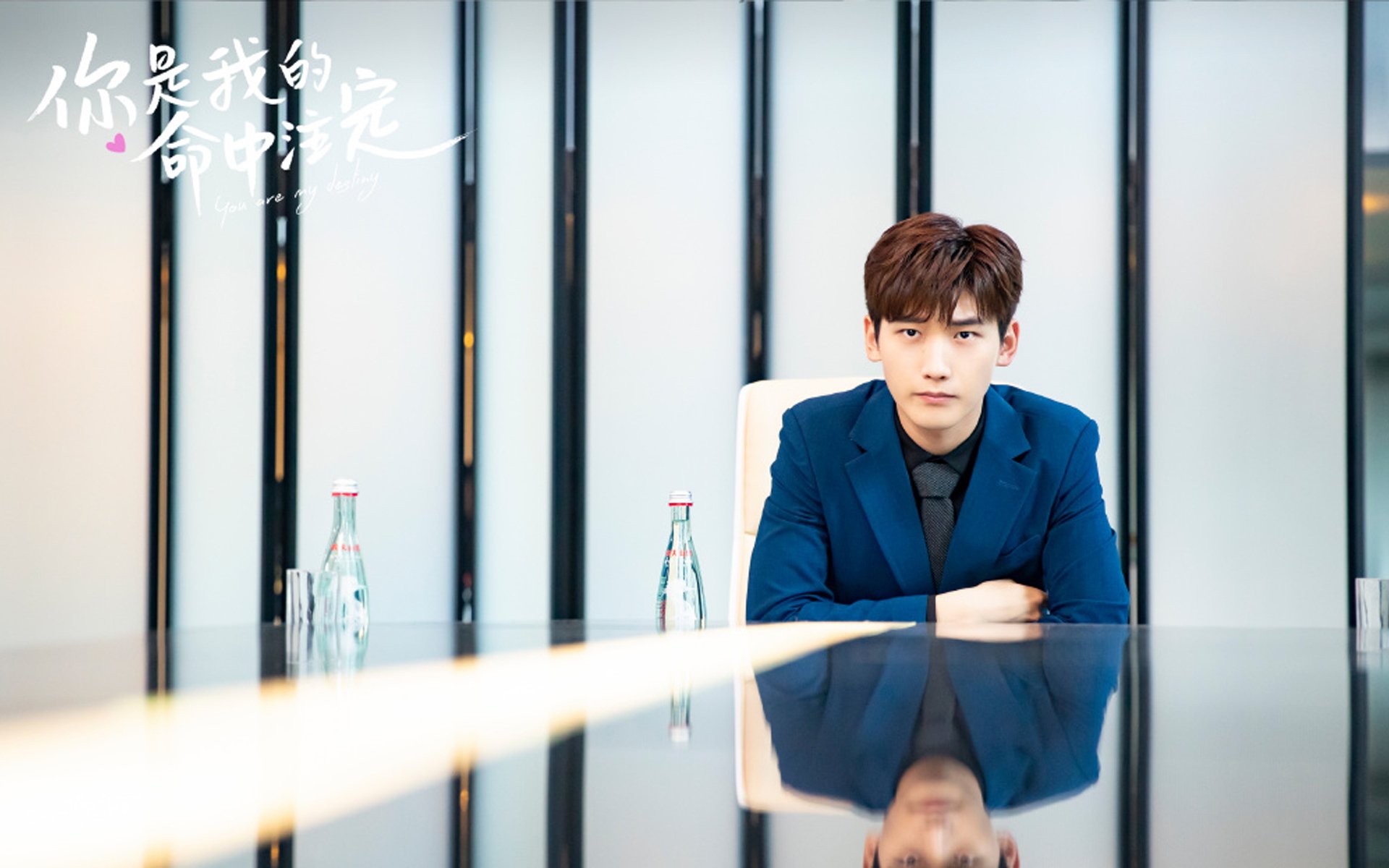 罗德里制导,瑞典破冰前行