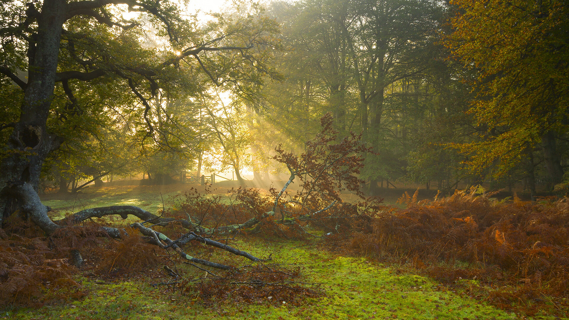 决胜时刻的英雄赞歌,从希腊绝杀克罗地亚到拉什福德英超封神之战