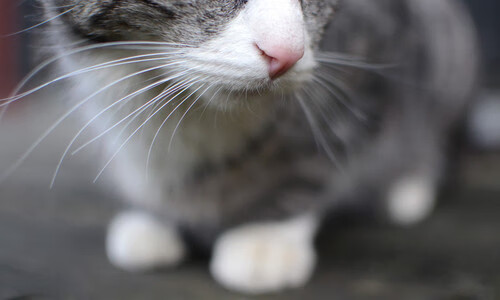 读秒绝杀与雷霆万钧,欧洲纪律与天才灵光的胜利夜